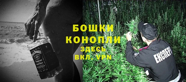 прущая мука Арсеньев