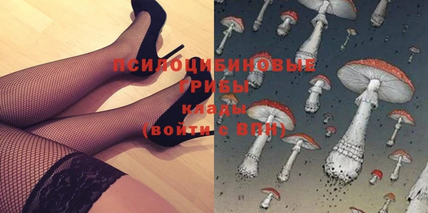 стафф Баксан