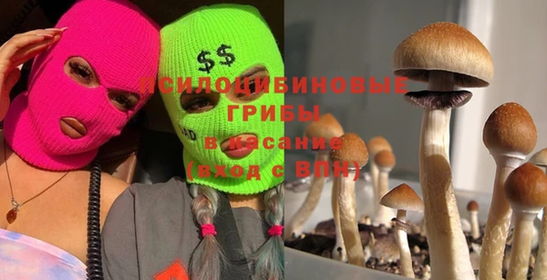 прущая мука Арсеньев