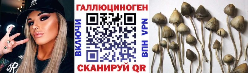 Галлюциногенные грибы GOLDEN TEACHER  Калуга 